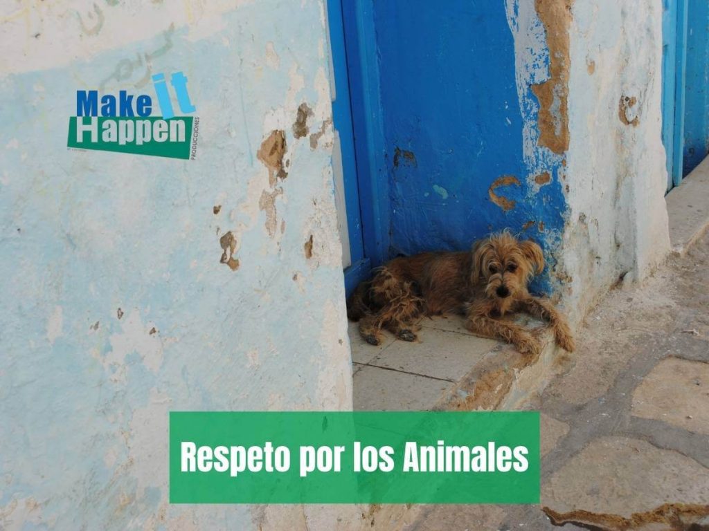 respetar a los animales